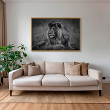 Charger l&#39;image dans la galerie, Le brushing du Roi
