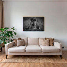 Charger l&#39;image dans la galerie, Le brushing du Roi
