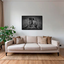 Charger l&#39;image dans la galerie, Le brushing du Roi
