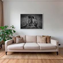 Charger l&#39;image dans la galerie, Le brushing du Roi
