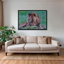 Charger l&#39;image dans la galerie, Le brushing du Roi 2
