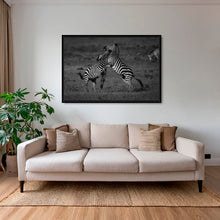 Charger l&#39;image dans la galerie, Affaire de mâles
