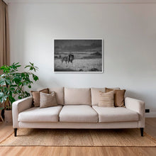 Charger l&#39;image dans la galerie, Scarface en inspection 2
