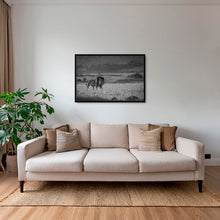 Charger l&#39;image dans la galerie, Scarface en inspection 2
