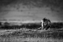 Charger l&#39;image dans la galerie, Surveillance
