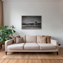 Charger l&#39;image dans la galerie, Surveillance
