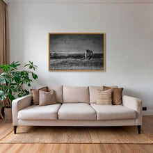 Charger l&#39;image dans la galerie, Surveillance
