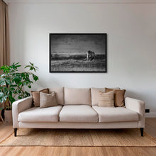 Charger l&#39;image dans la galerie, Surveillance
