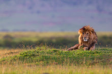 Charger l&#39;image dans la galerie, Surveillance 2
