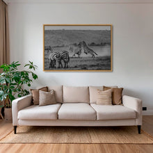 Charger l&#39;image dans la galerie, Poussière d&#39;étalons 2
