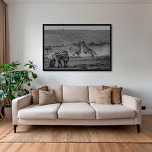 Charger l&#39;image dans la galerie, Poussière d&#39;étalons 2
