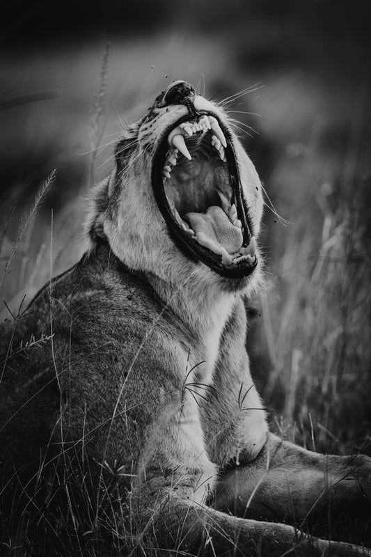 Armée jusqu'aux dents