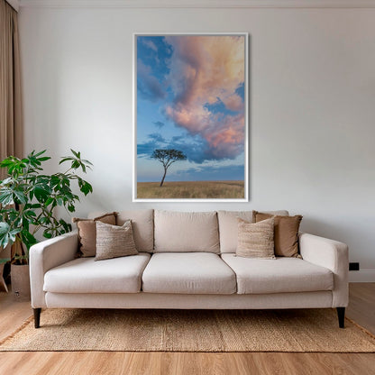 Acacia et nuages de Mara