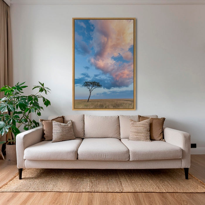 Acacia et nuages de Mara