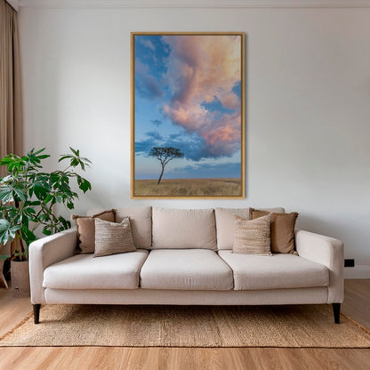 Acacia et nuages de Mara