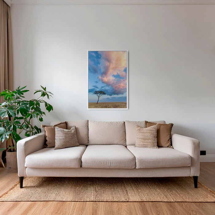 Acacia et nuages de Mara