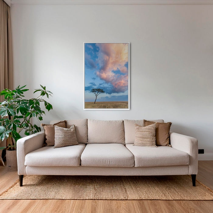 Acacia et nuages de Mara