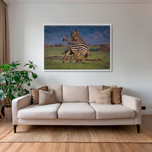 Charger l&#39;image dans la galerie, Combat d&#39;étalons
