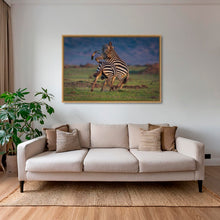 Charger l&#39;image dans la galerie, Combat d&#39;étalons
