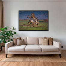 Charger l&#39;image dans la galerie, Combat d&#39;étalons
