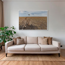 Charger l&#39;image dans la galerie, Golden boys
