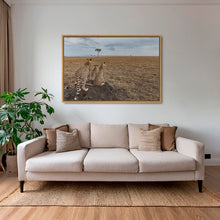 Charger l&#39;image dans la galerie, Golden boys
