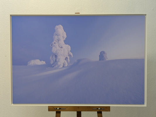 Sculpture de glace