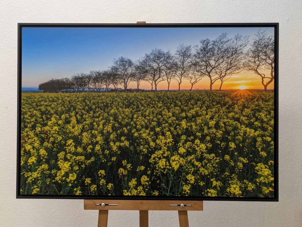 Lever de soleil sur le Lauragais