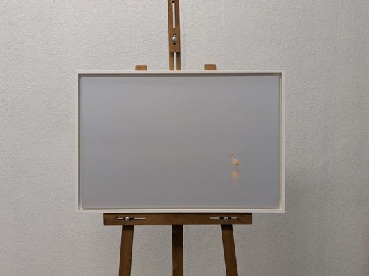 Solitude du Flamant