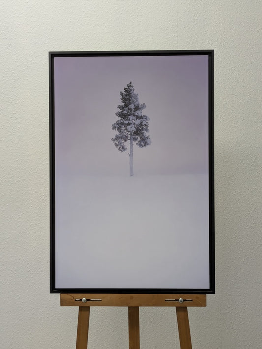 Un simple arbre