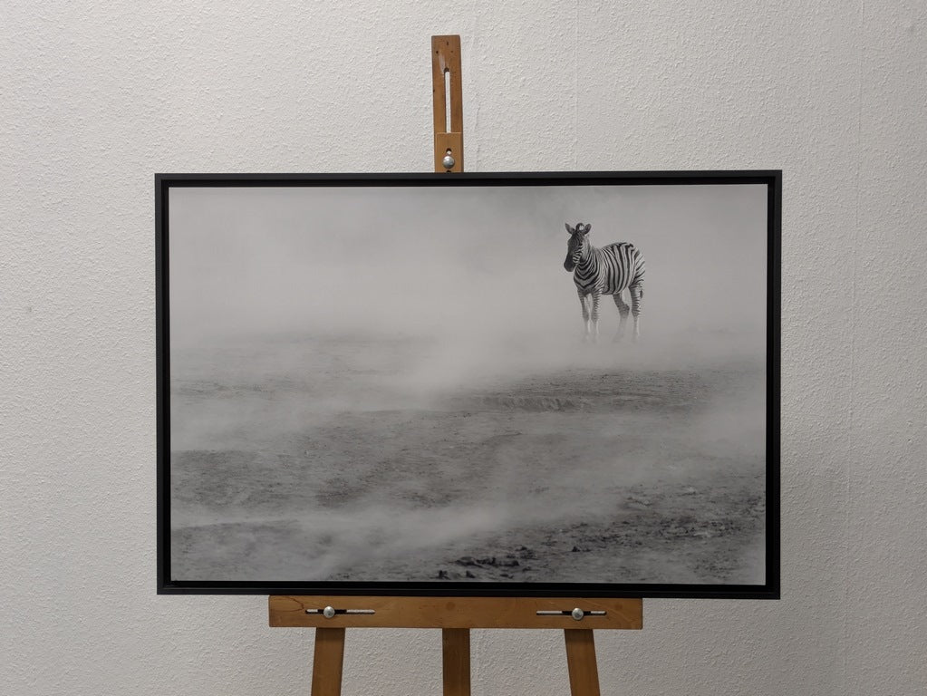 Zèbres dans la poussière