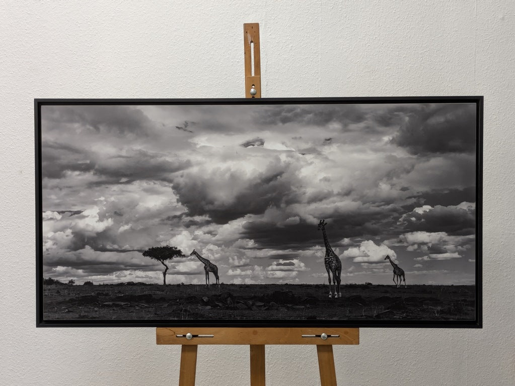 Les géants de ce monde