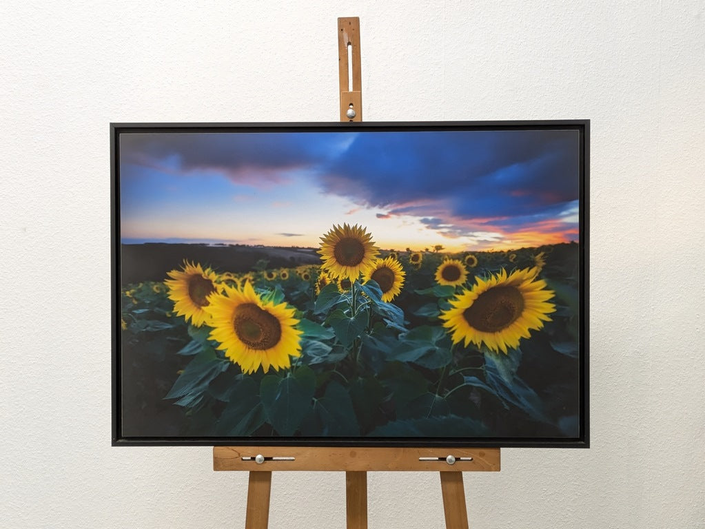 Le Roi soleil