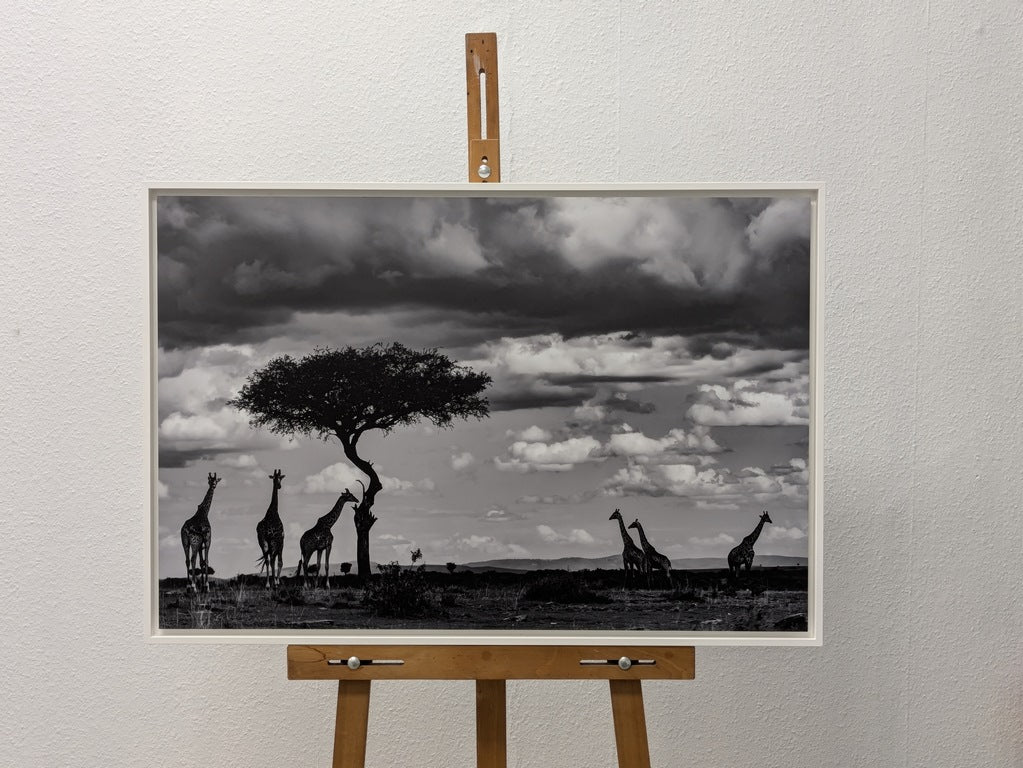 Les géants de ce monde