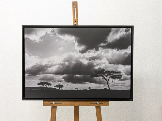 Éternel Serengeti