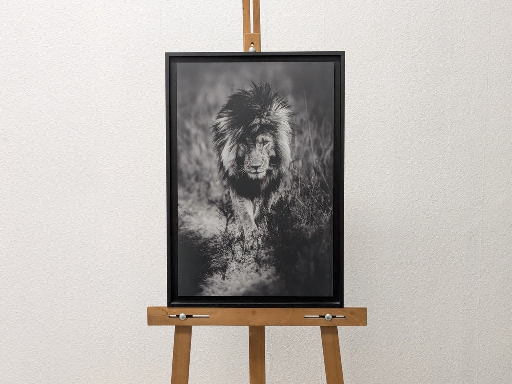 Le Roi