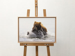 La pêche de Teddy 2