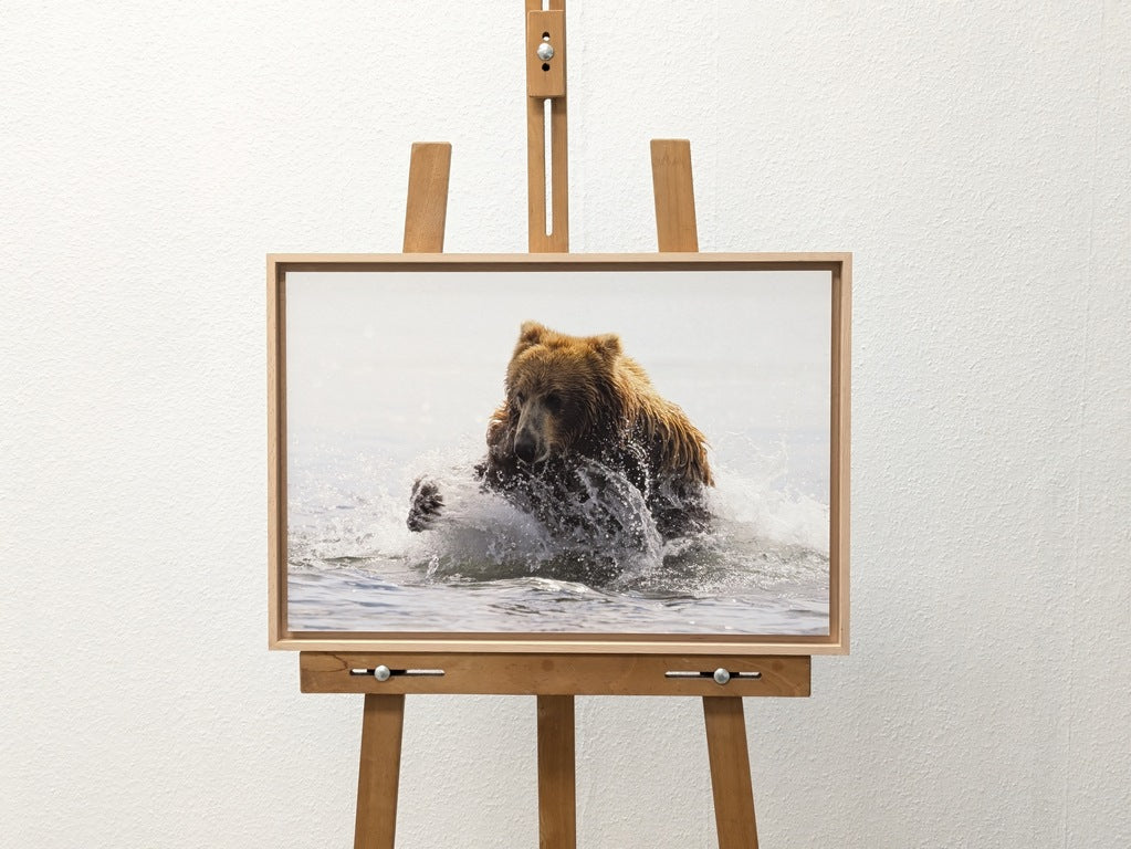 La pêche de Teddy 2