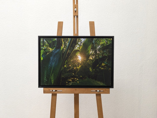 À travers la jungle