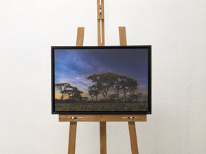Étoiles du Serengeti