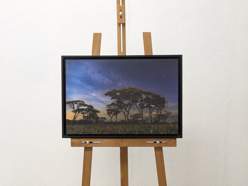 Étoiles du Serengeti