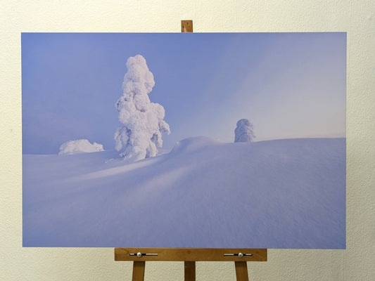 Sculpture de glace