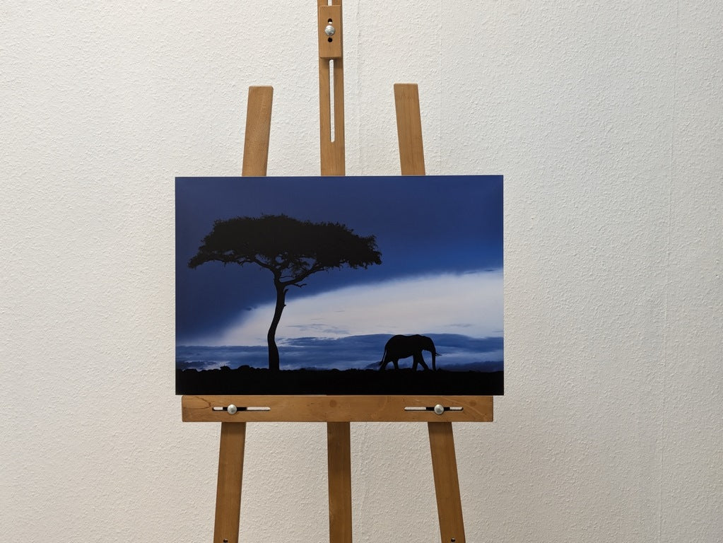 Éléphant bleu