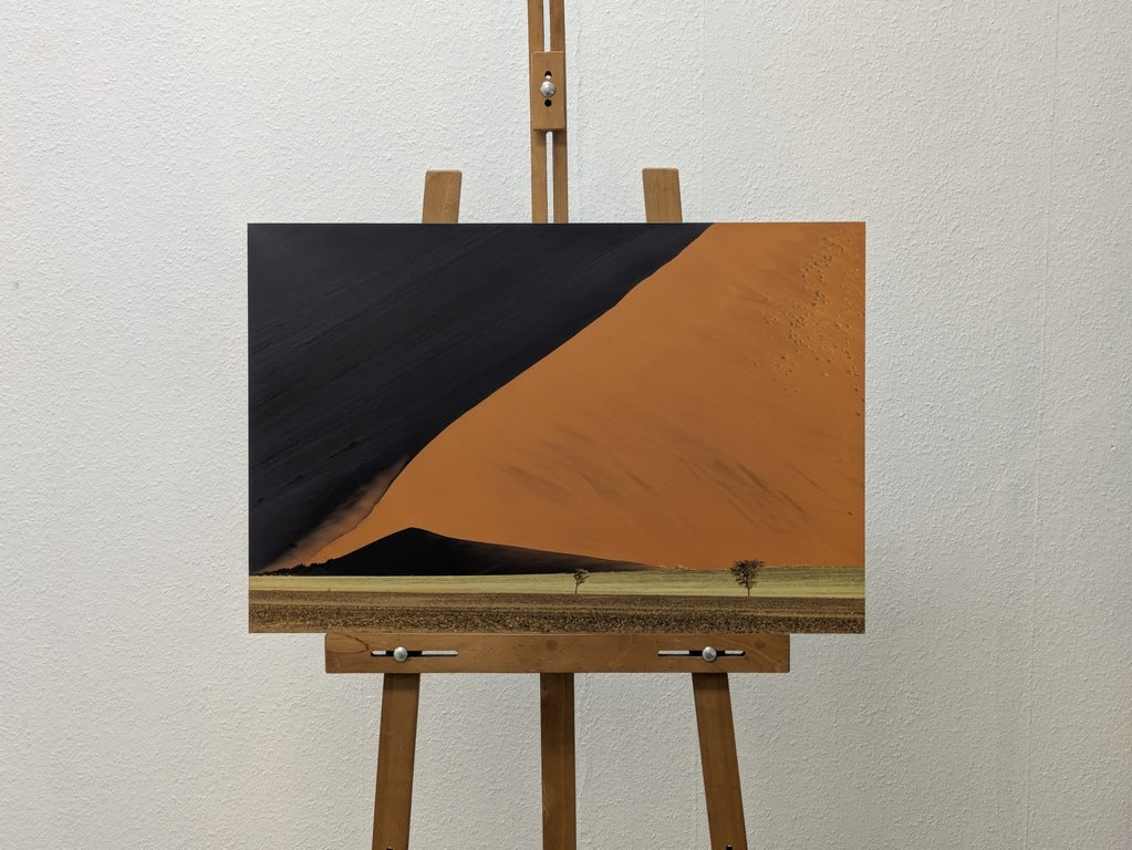 La ligne et les arbres