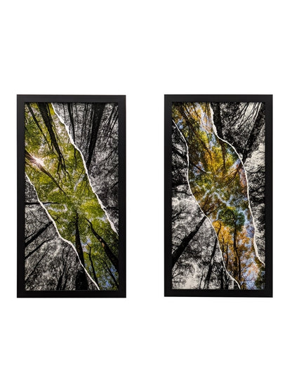 Bouquet de hêtres en diptyque