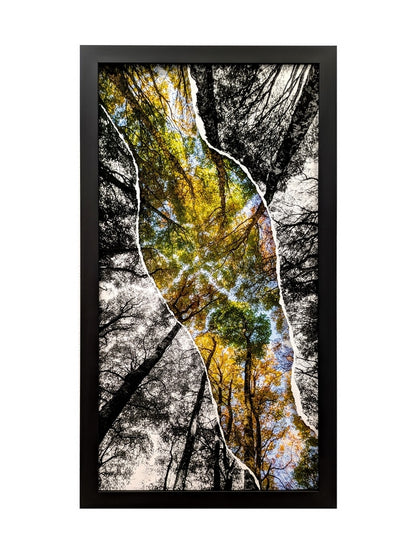 Bouquet de hêtres en diptyque