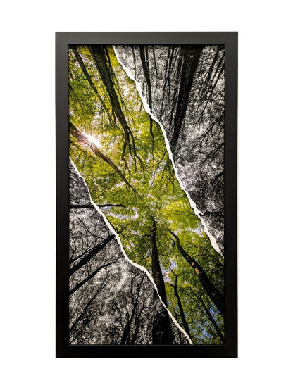 Bouquet de hêtres en diptyque