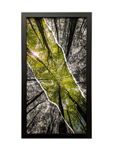 Charger l&#39;image dans la galerie, Bouquet de hêtres en diptyque
