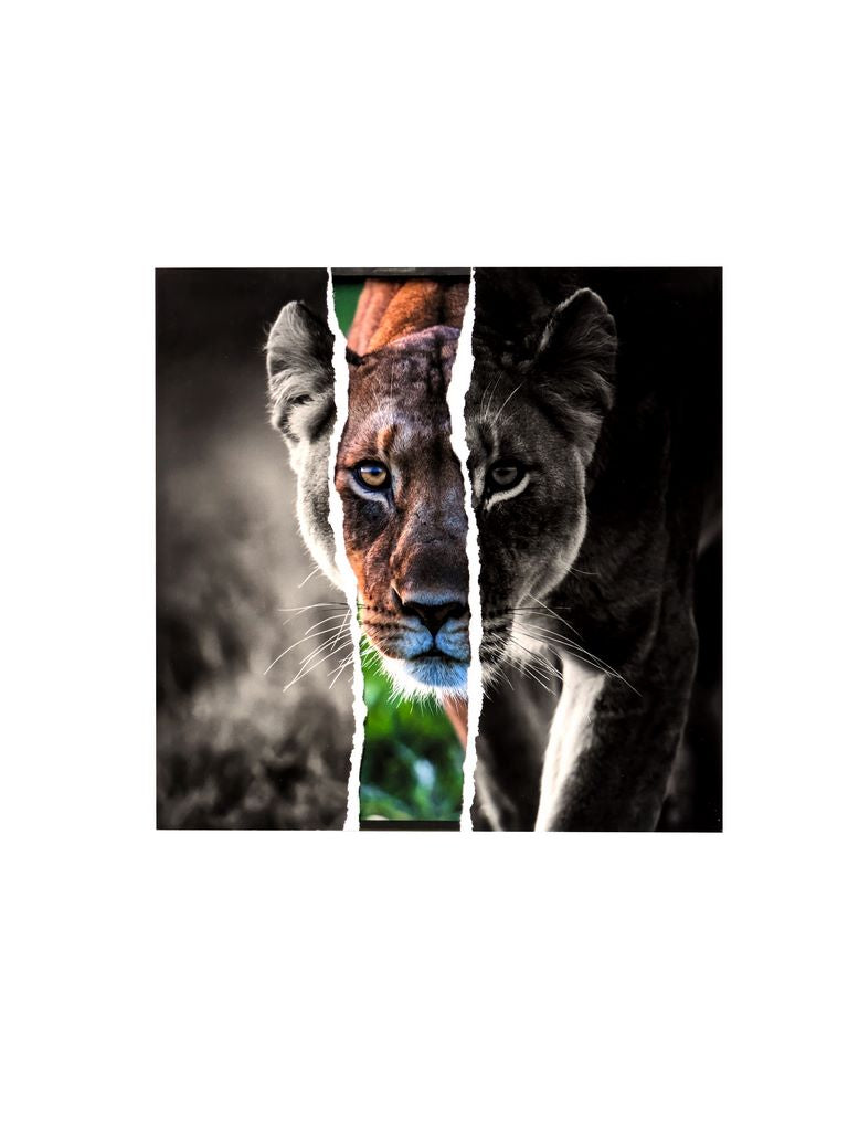 Les yeux dans les yeux