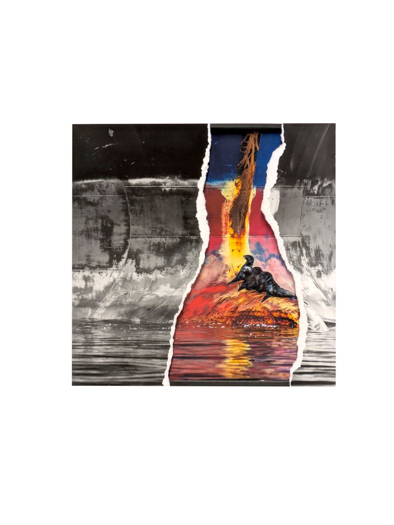 Le gazier de la méduse